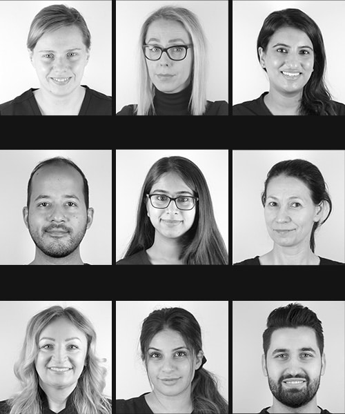 Meet The Team